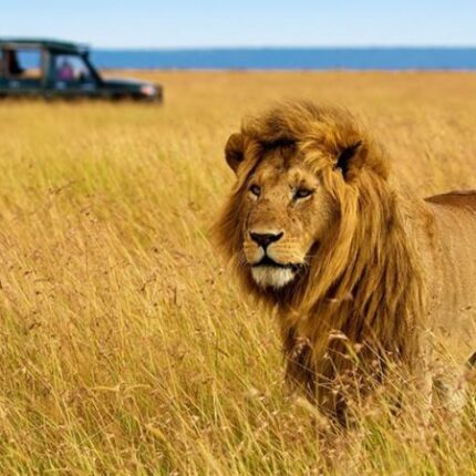 5 Days Amboseli & Tsavo West Explorer Safari