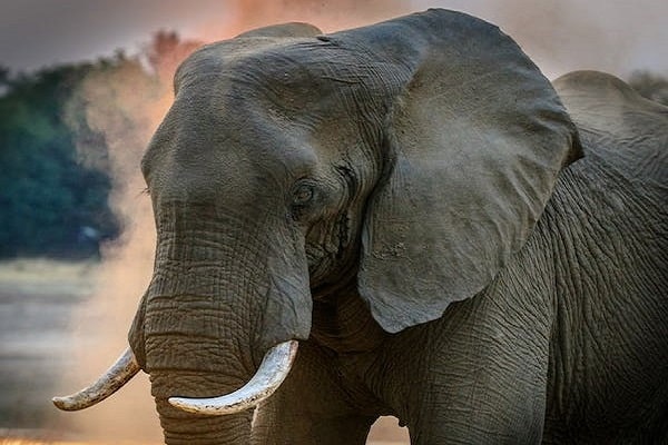 4-Day Taste of Kenya - Luxury