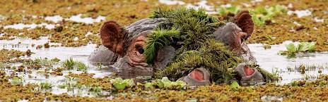 10 Days Kenya & Tanzania Budget Adventure Safari