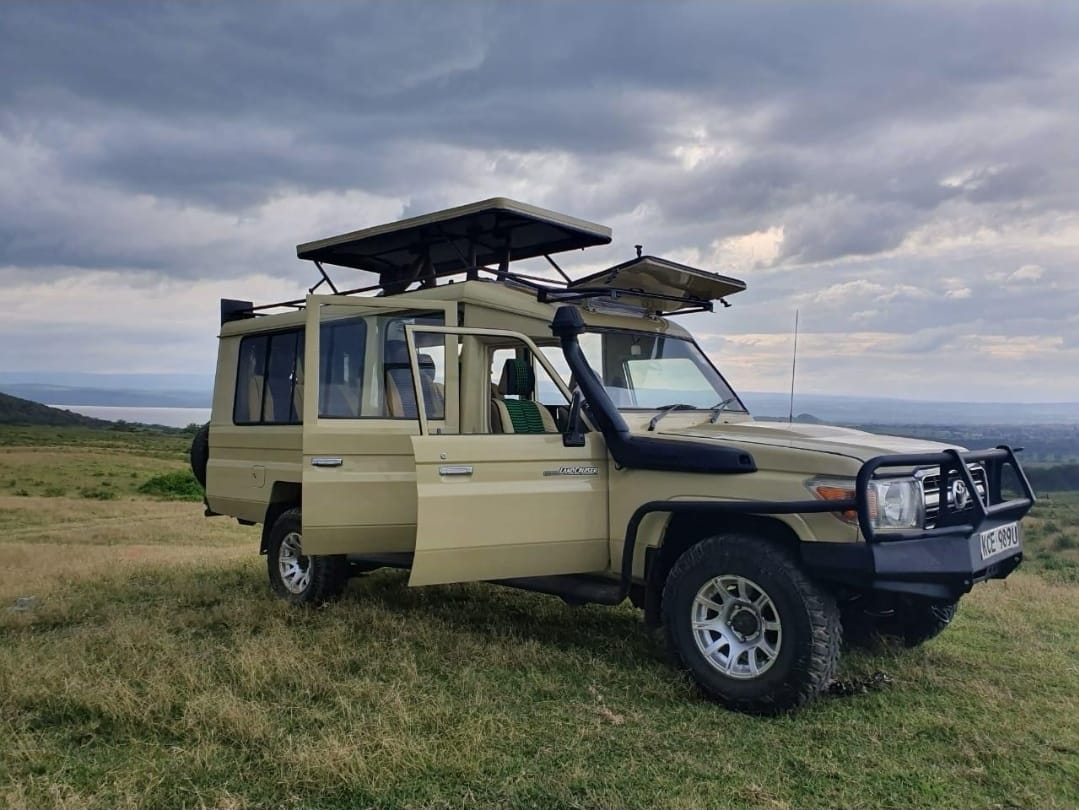 4 Days Maasai Mara & Lake Nakuru Group Safari