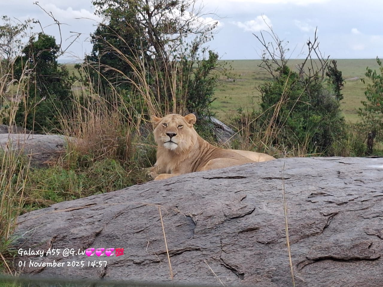 3 Days Maasai Mara Luxury Escape