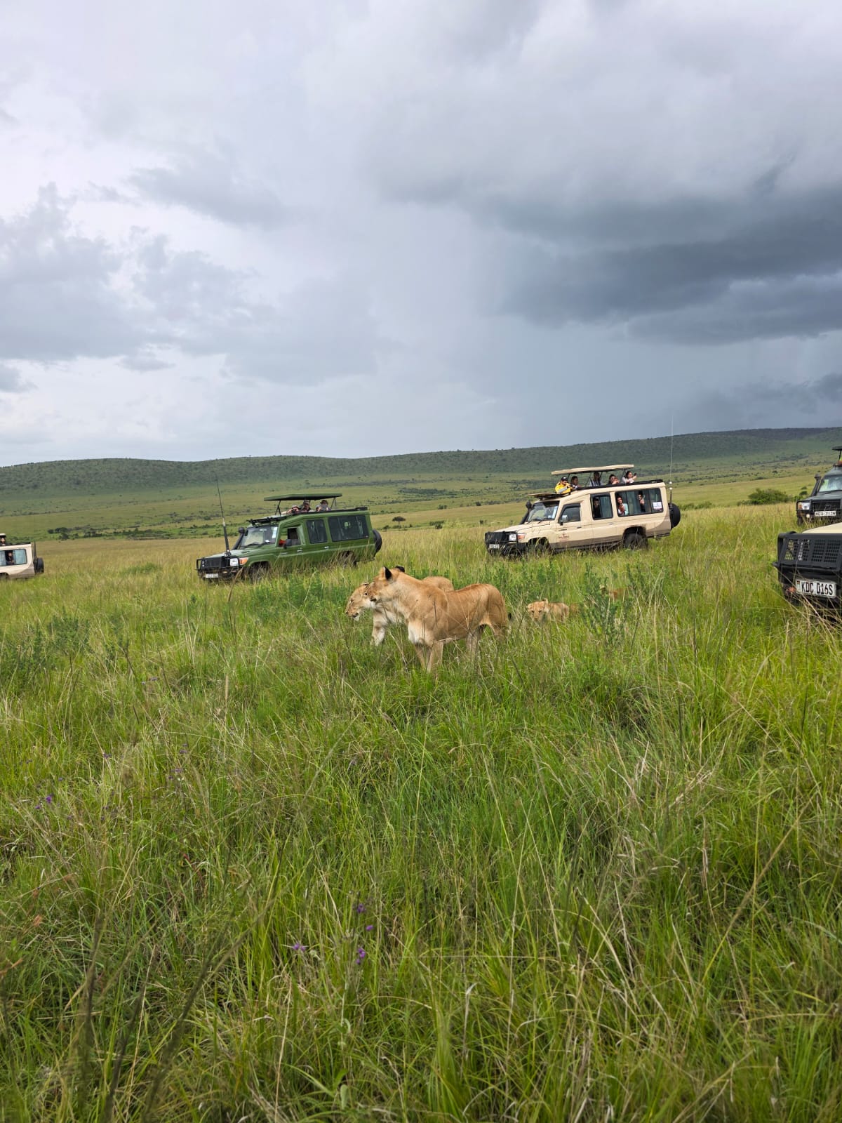 Lake Manyara