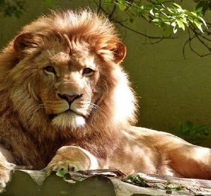 7-Day Off the Beaten Path - Luxury