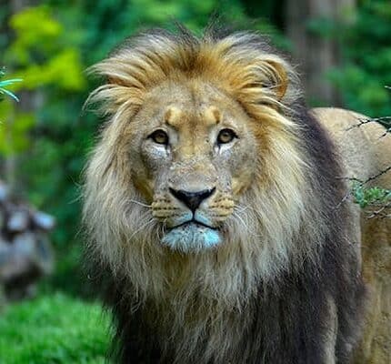 4-Day Taste of Kenya - Luxury